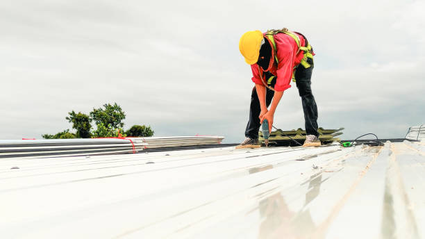 Steel Roofing in Canyon Creek, WA