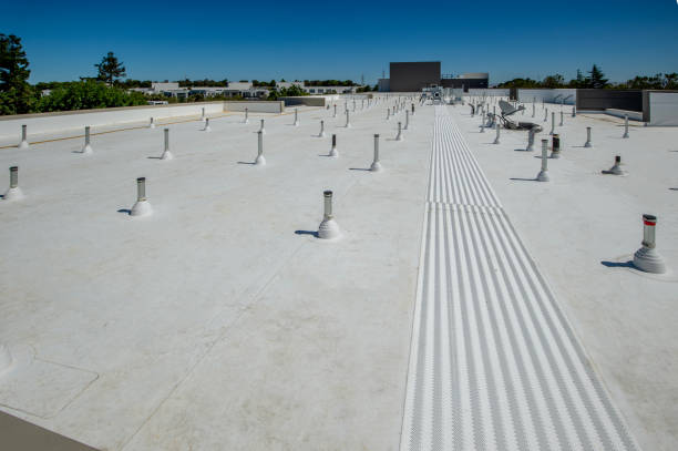 Best Roof Maintenance and Cleaning  in Canyon Creek, WA
